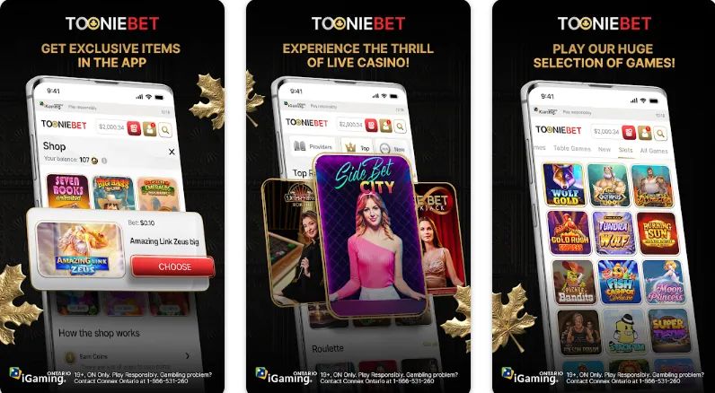 TooniBet: screenshot of the casino site