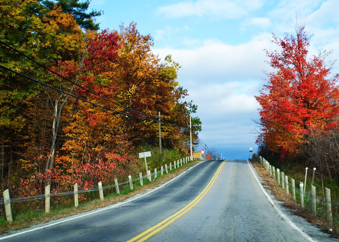 Creemore, Ontario: A Picturesque Fall Road Trip Destination Near Toronto