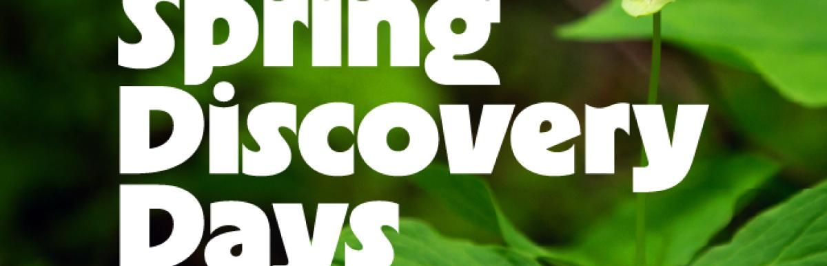 Discovery Day event in Hamilton introduces high school students to health-care careers