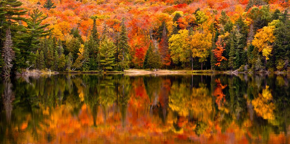 Ontario's Haliburton Forest Canopy Tour Offers A Breathtaking Way To Experience Fall Colours