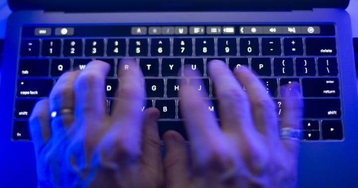 Privacy watchdog investigating massive driver's licence data breach affecting Canadians