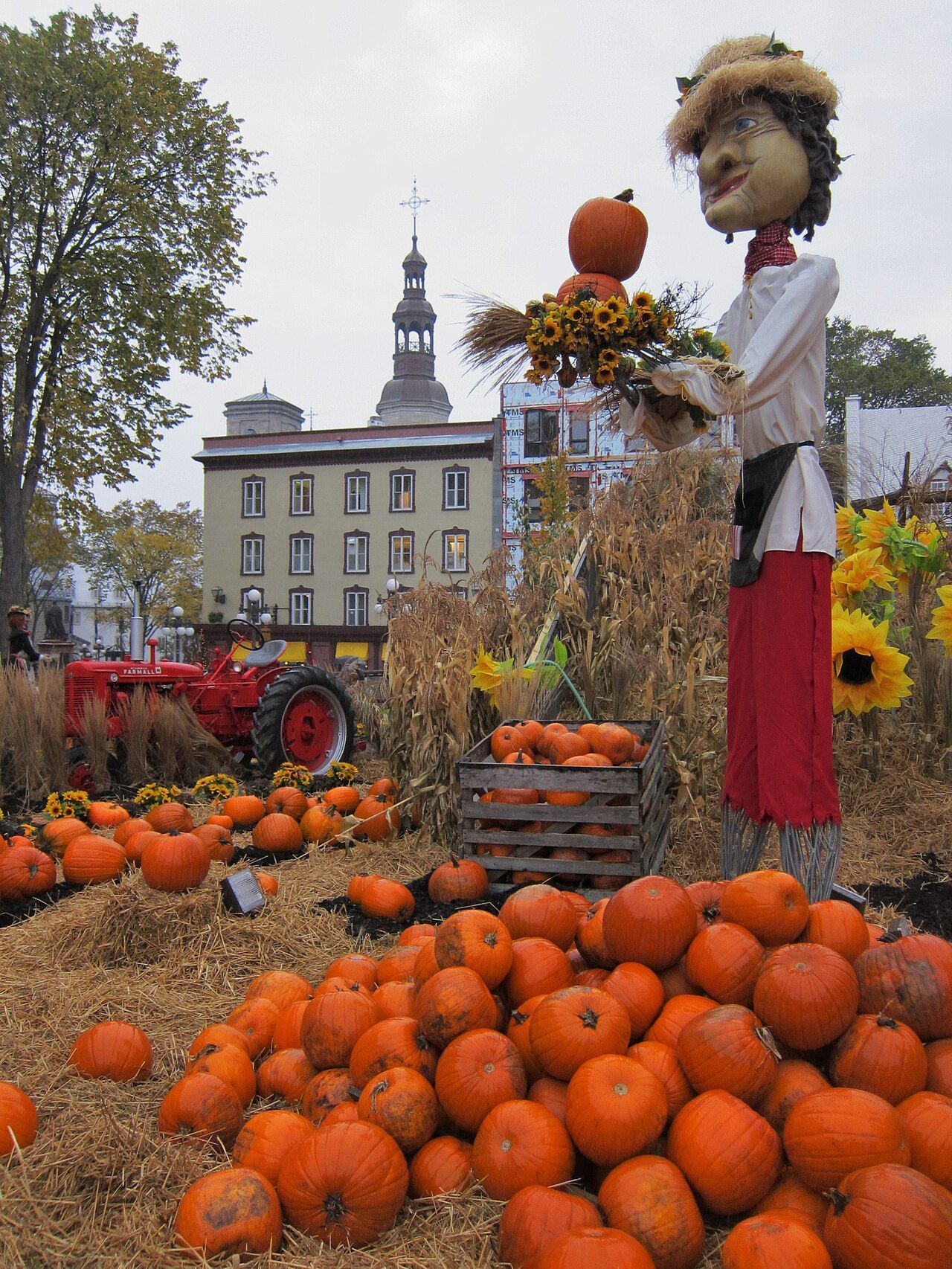 Quebec's Halloween weather forecast calls for sun, mild temperatures