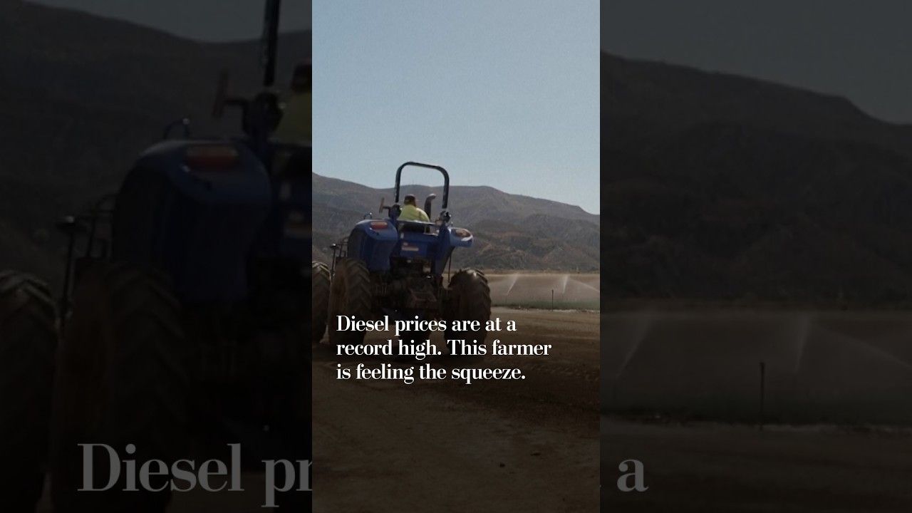 Record diesel prices squeeze farm margins but haven't hit grocery bills yet