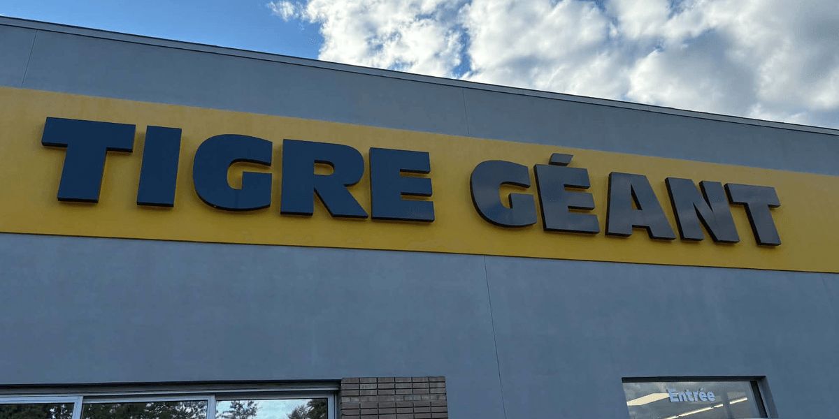 Tigre Géant's $2 Beauty Product Liquidation Includes Viral Ruby & Millie Dupes of Luxury Brands