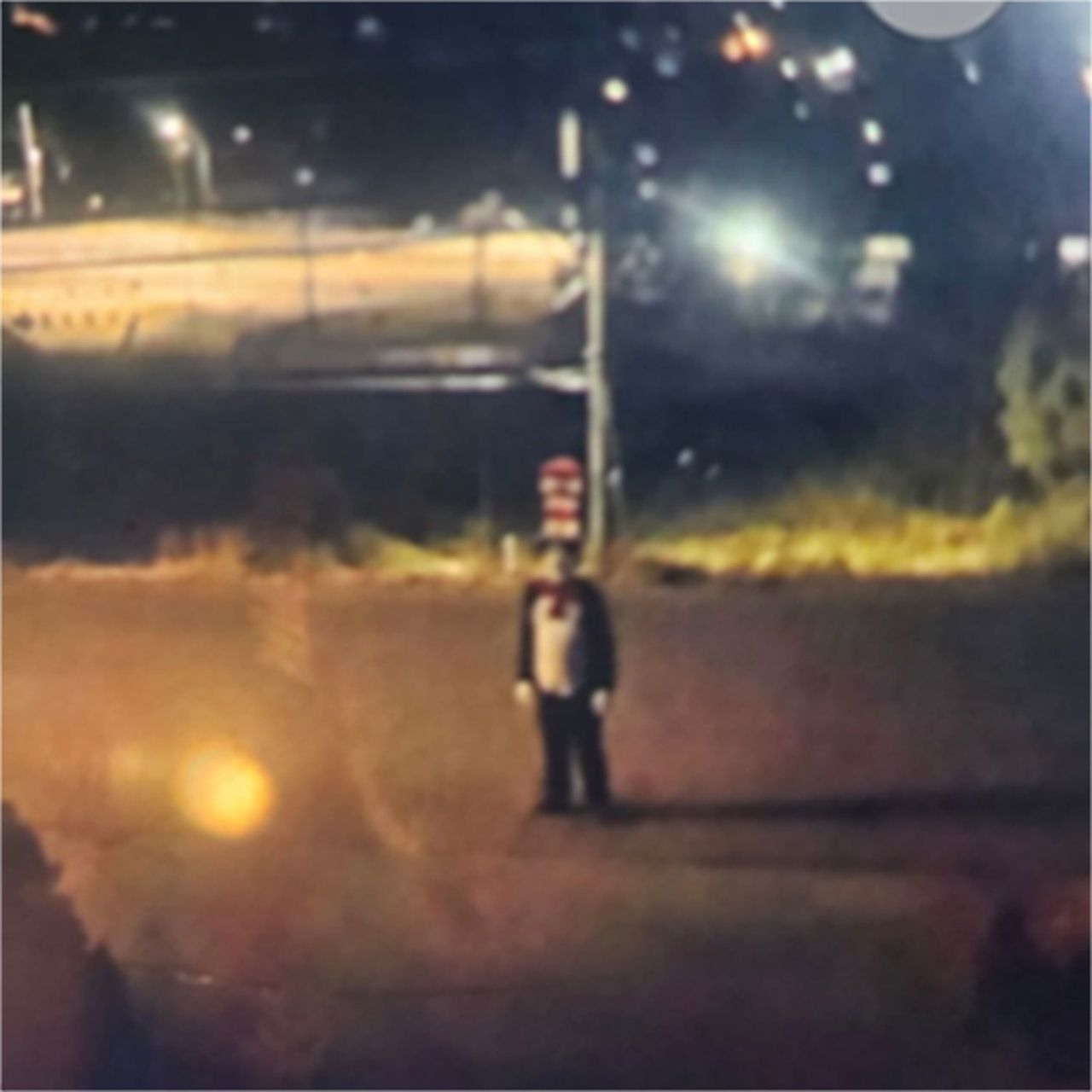 West Kelowna RCMP Investigate Disturbing Incident Involving Cat in the Hat Costume Suspect