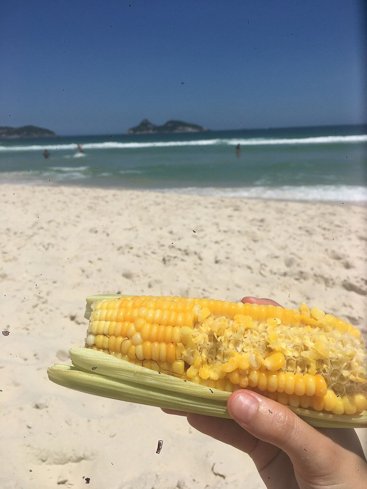 Corn on the cob is a famous beach food in Rio de Janeiro, Brazil. Street vendors sell them at the beach for usually 6 reais.