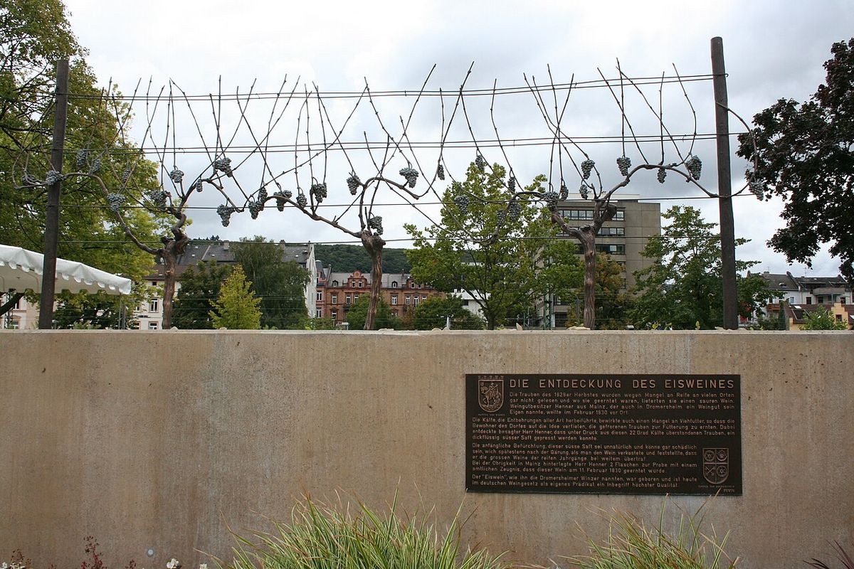 "Discovery of ice wine", memorial in Bingen/Rhine, Germany