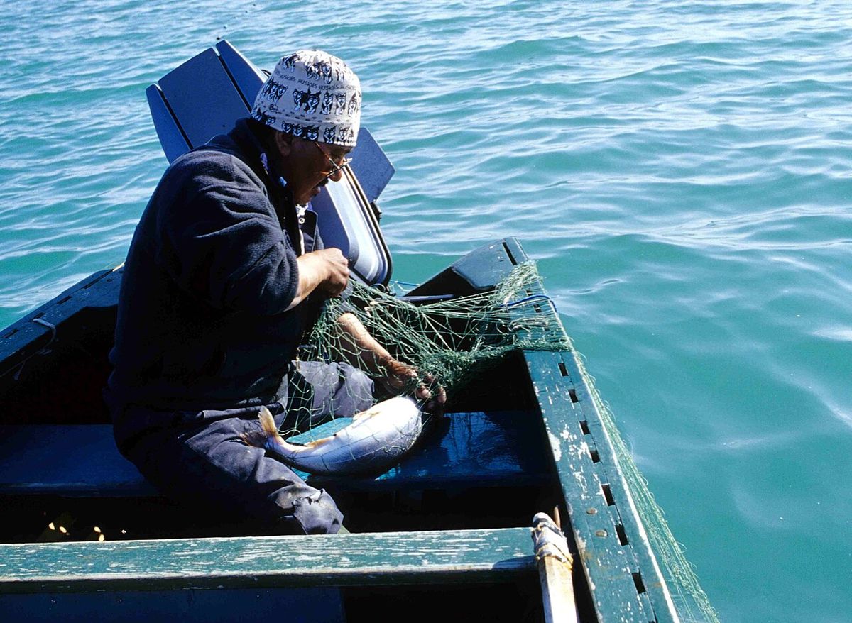 Arctic char fishing
