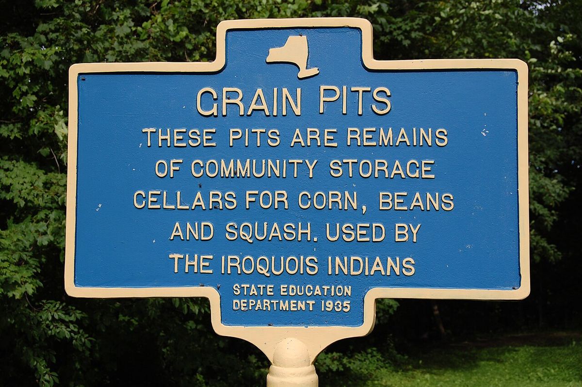 These pits are remains of community storage cellars for corn, beans and squash. Used by the Iroquois Indians