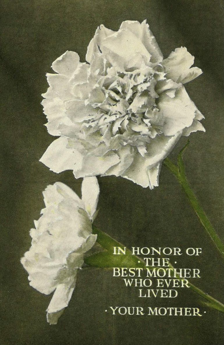 Postcard issued by the Northern Pacific Railway for Mother's Day 1915.