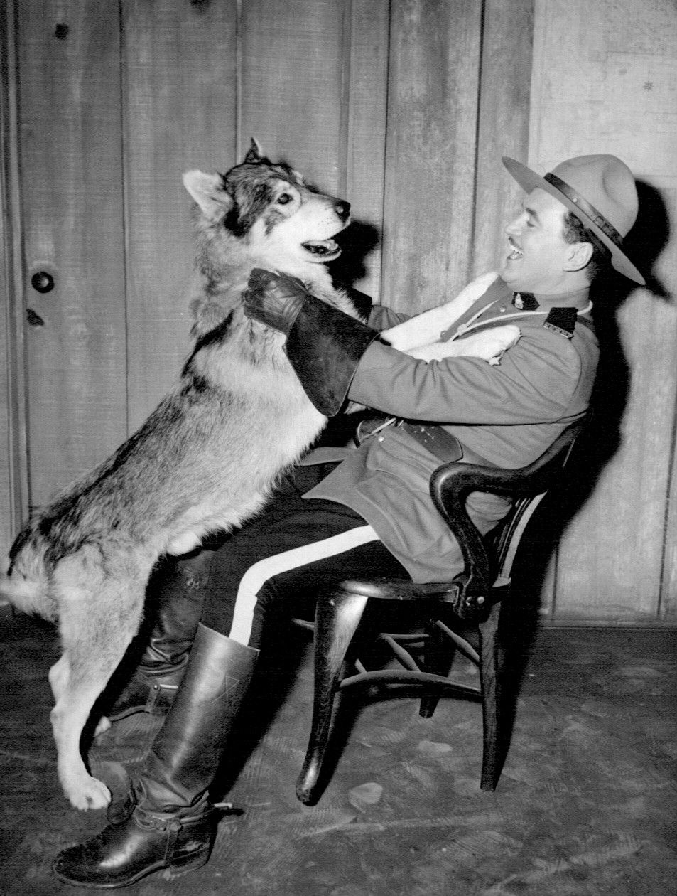 Photo of Richard Simmons as Sergeant Preston and Yukon King from the television series Sergeant Preston of the Yukon.