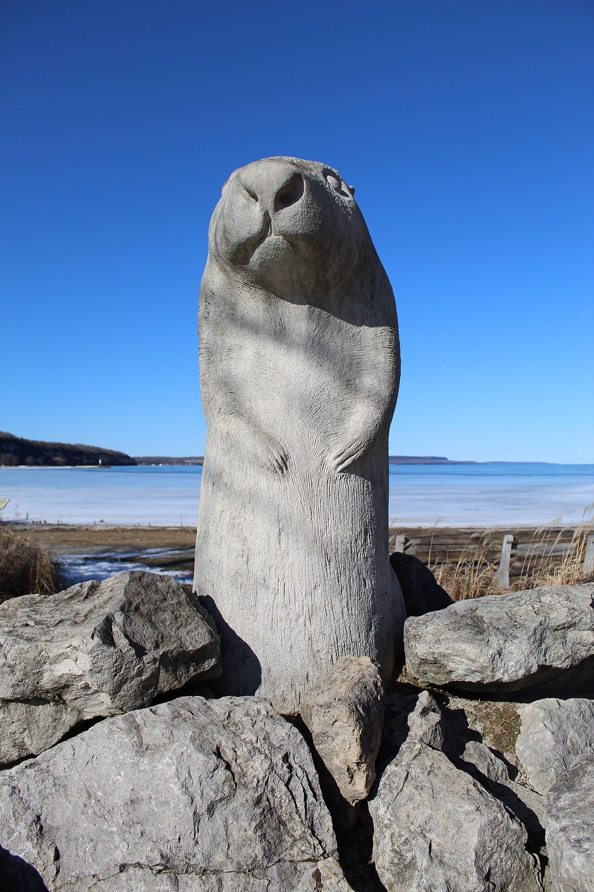 Wiarton Willie