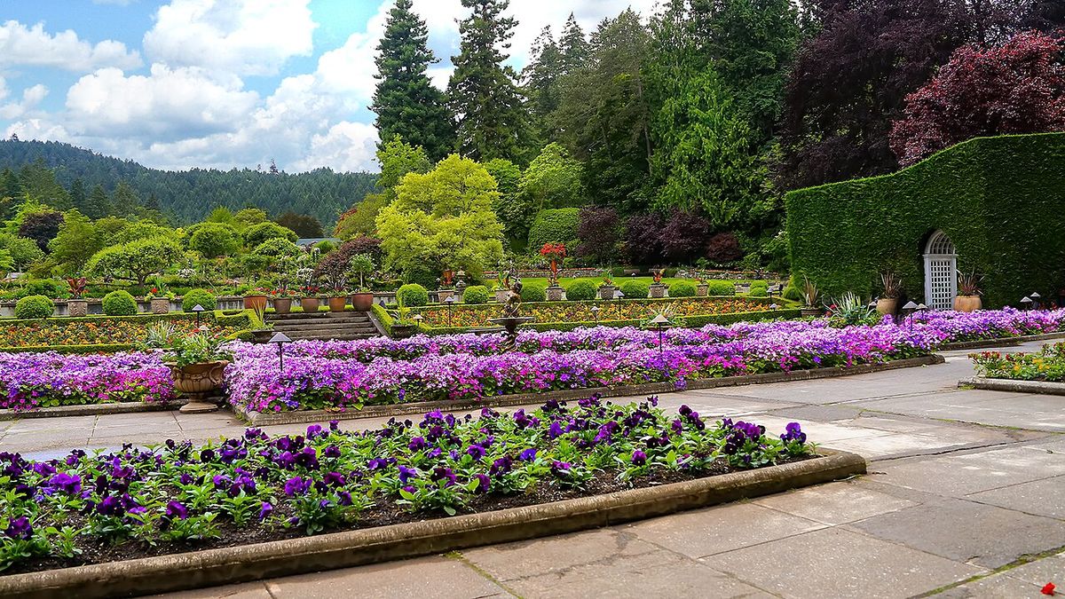 View of the Italian gardens at Butchart Gardens, Brentwood Bay, BC.