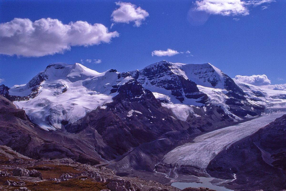 Mts. Athabasca (left) and Andromeda (right) from Wilcox Pass. The Athabasca Glacier is in the lower right quadrant, with a bit of the Columb