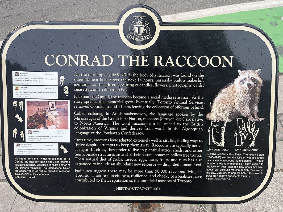 Conrad