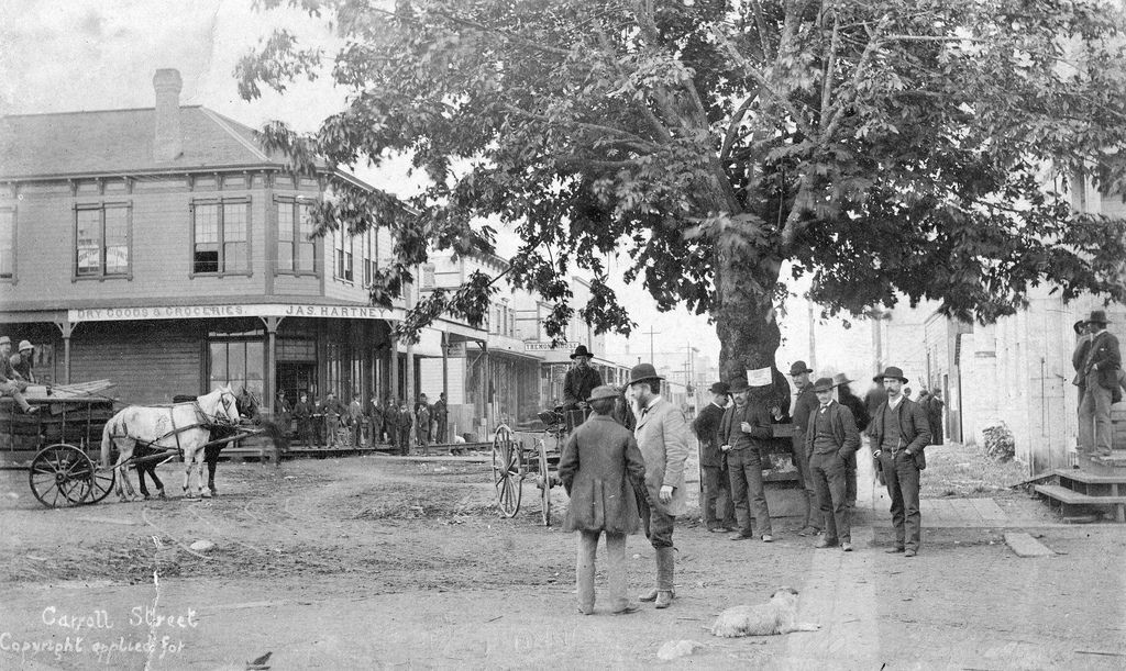 Carrall Street looking south and showing "Maple Tree" corner at Water Street, 1886, Vancouver, British Columbia, Canada.